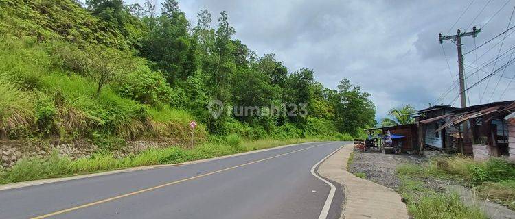 Dijual Tanah Kebun Karet Desa Kancing Bengkulu Tengah 1