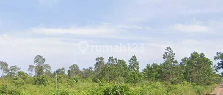 DIJUAL TANAH PLUS KEBUN SAWIT KAWASAN MARIANA BANYUASIN 1