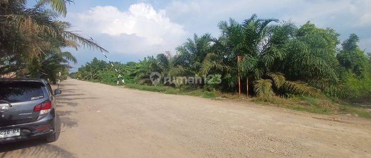 Dijual Lahan 6,8 Hektar Gasing Tanjung Api Api Banyuasin 1