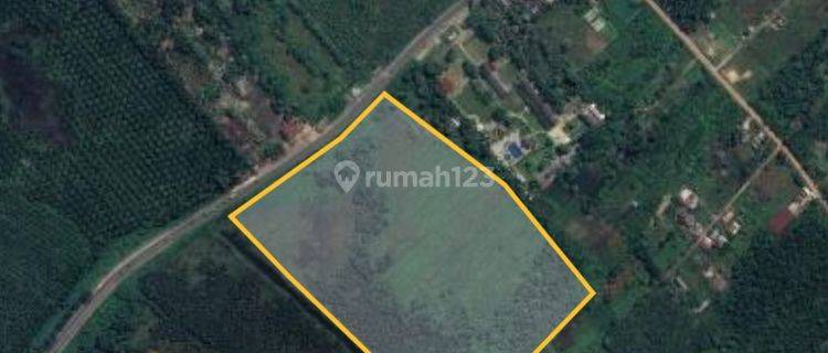DIJUAL TANAH 5,6 HEKTAR PINGGIR JALAN NEGARA PALEMBANG – INDRALAYA 1