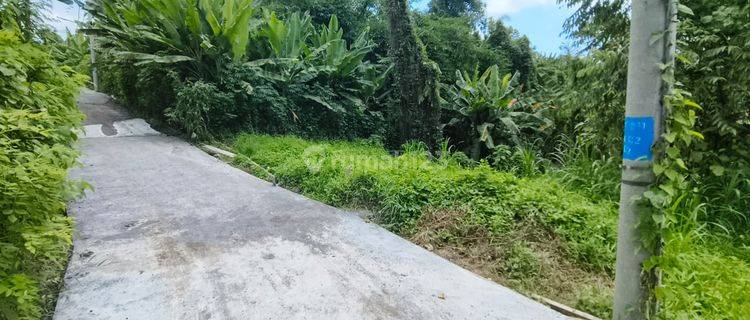 Di Jual Tanah Pejeng Kelod Area Wisata View Pepohonan Dan Villa 1