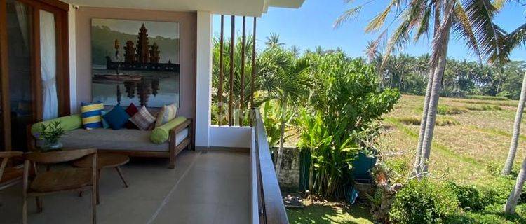 Jual villa di Ubud dengan view sawah abadi  1