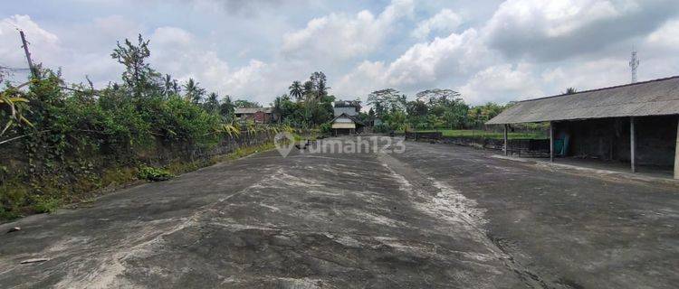 Dijual Tanah Dan Bangunan Di Pejeng kelod View Sawah 1