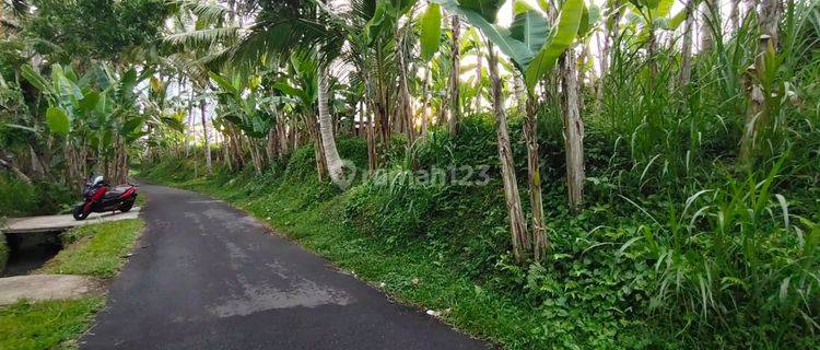 Dijual Tanah di Bukian view sawah, gunung, sunset dan telabah 1