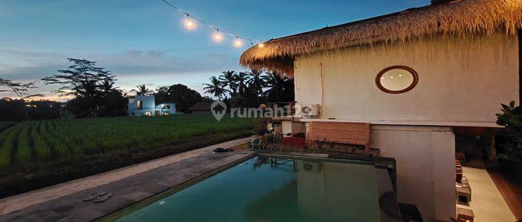 Dijual villa Baru di Ubud view sawah dan jungle 1