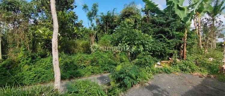 Dijual tanah murah di Tegallalang view kebun jeruk da 1