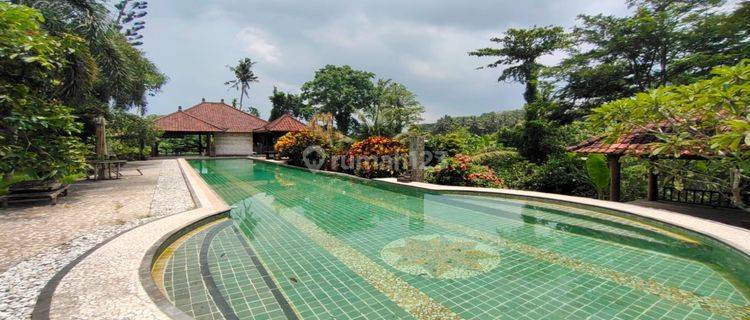 Dijual Villa Style Bali di Ubud view sawah dan river side 1