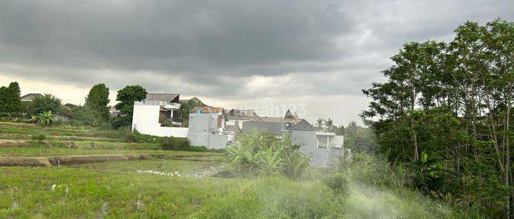 Land for sale in Ubud View of Rice Fields Near the Main Road 1