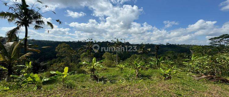 Dijual tanah premium lingkungan resort2 besar Di Ubud view Jungle 1