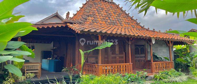 For Sale Beautiful Classic Joglo Villa In Ubud View Residential Area 1