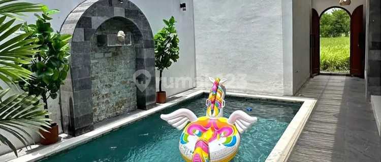 For Sale: Affordable Villa in Silungan Lodtunduh Ubud, Ready to Occupy 1