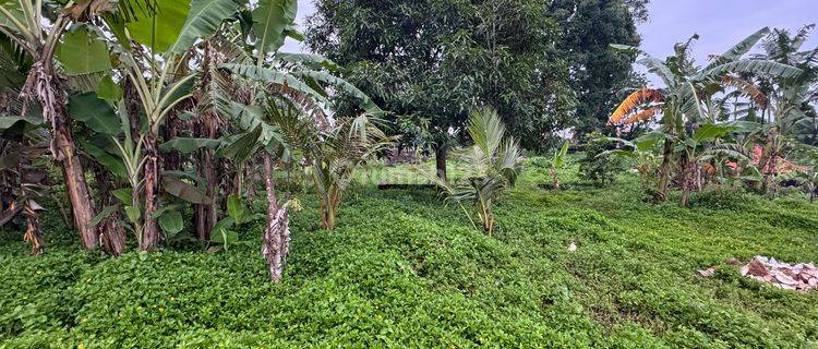 Dijual Tanah Premium Dekat Dari Mongkey Forest Dan Jalan Besar 1