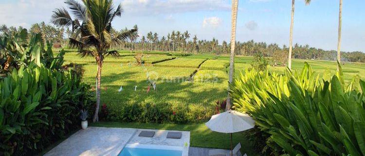 Dijual Villa Di Ubud Dengan Pemandangan View Sawah Bagus 1