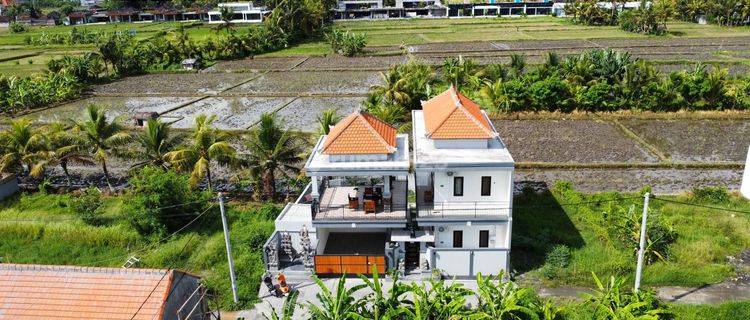 Villa for Sale in Ubud Sibgakerta View of Rice Fields Near Central 1