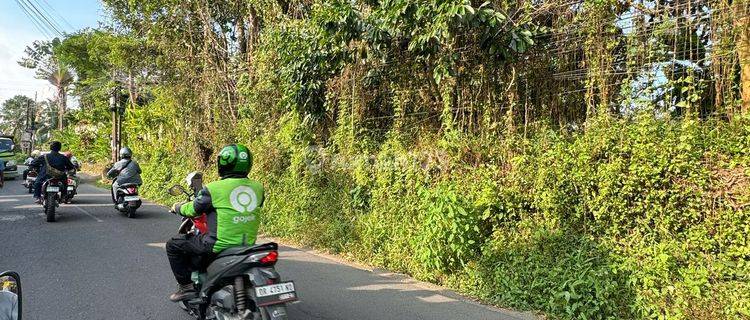 Di Jual Tanah Premium Jl Tirta Tawar Ubud Akses Jalan Utama 1