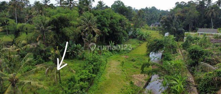 Dijual Tanah View Jungle Sawah Dan Sungai Di Ubud  1