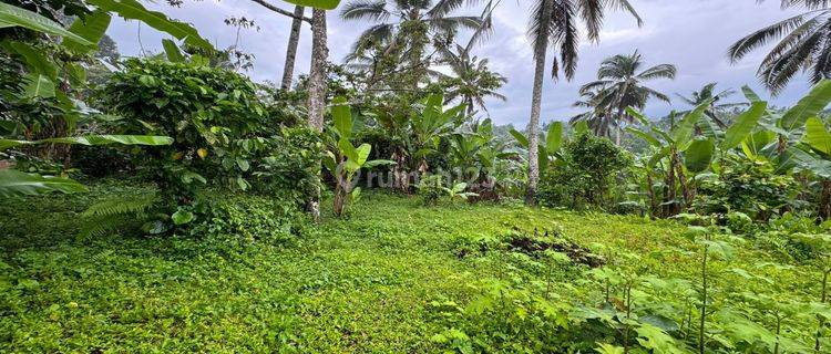 Dijual Lahan Lingkungan Villa Dan Resort View Sawah Dan Jungle 1