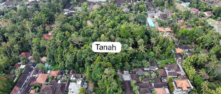 Di Jual Tanah Langka Di Ubud Lokasi Strategis 1