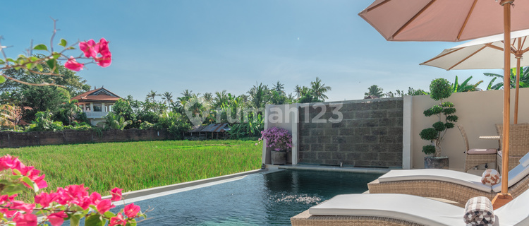 Dijual T10 Rumah Minimalis Modern Furnished 1