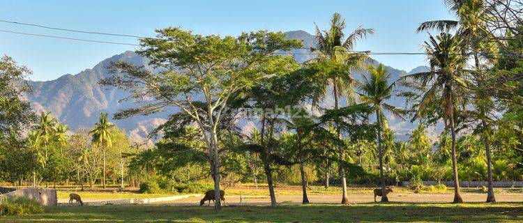 L03 Dijual Tanah Tepi Pantai Pemuteran, Buleleng 1