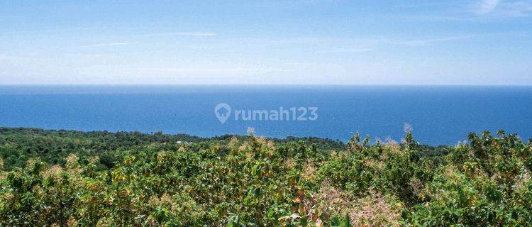 Dijual Tanah di Pacung, Bali Utara 28900m2 Sertifikat Hak Milik 1