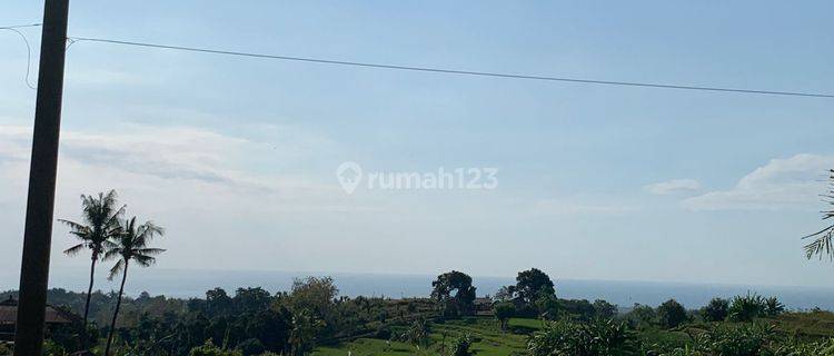 L27 SHM Land for Sale 4,700m2 View of Rice Fields and Sea in Panjianom, Lovina Buleleng Bali 1