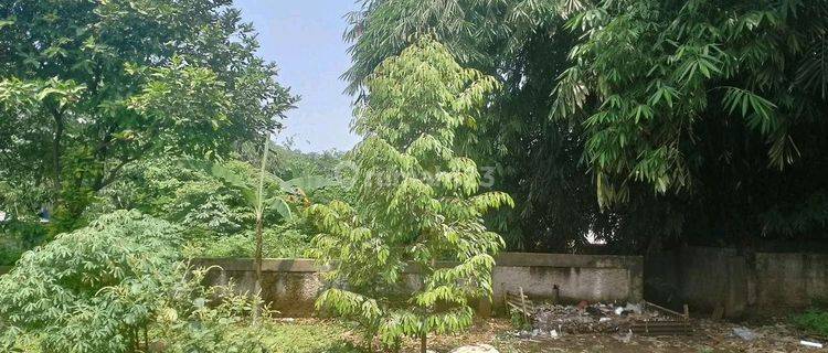 Dijual Kavling Atau Tanah Siap Bangun Dekat Grand Depok City Depok 1
