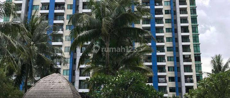 Apartemen Hampton Park Tipe 3BR Furnish di Jakarta Selatan 1