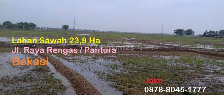 Tanah Sawah Istimewa Jl. Raya Rengas Pantura, Lemah Abang, Bekasi 1