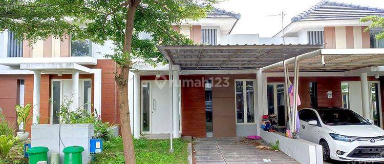 Nego Sampai Deal Di Green Orchid Suhat 1
