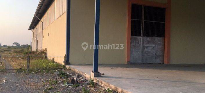 Gudang disewakan demak 1