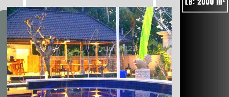 Rumah Villa Guest House Asri Luas Furnished Di Nusa Penida Bali 1