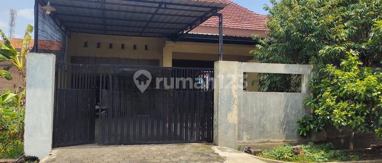 Large Yard House Ready to Occupy in Candi Penataran Semarang 1