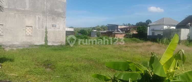 Tanah Murah Untuk Rumah Atau Rumahkost Di Ngaliyan Semarang 1