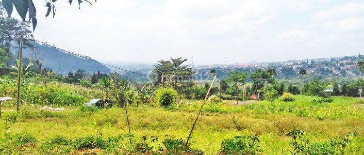 TANAH LUAS VILLA BUKIT PINUS PUJON BATU VIEW GUNUNG,CITY DAN HUTAN PINUS SONGGORITI  1