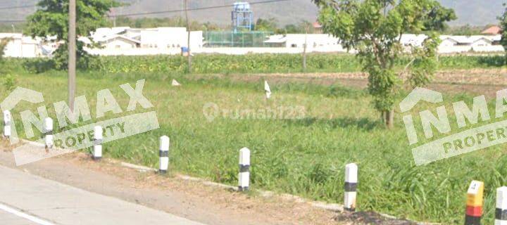 TANAH LUAS JALAN PANTURA RAYA PAITON PROBOLINGGO DEKAT PABRIK APACE 1