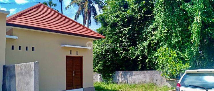 Dijual Rumah Baru Buc Gianyar Bali Dekat Denpasar Sanur Pusat Ubud 1