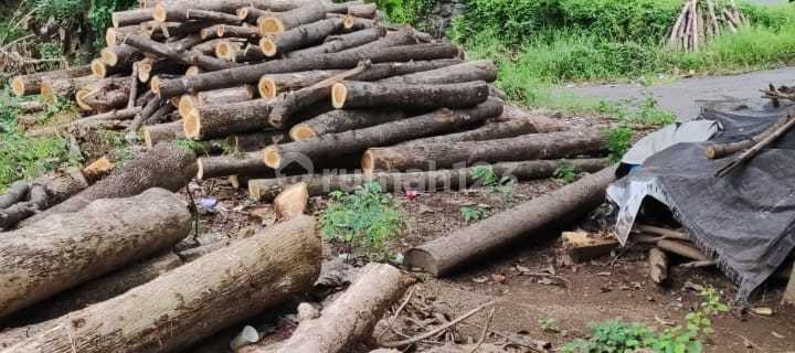 Dijual Tanah Daerah Singaraja Desa Bila 1
