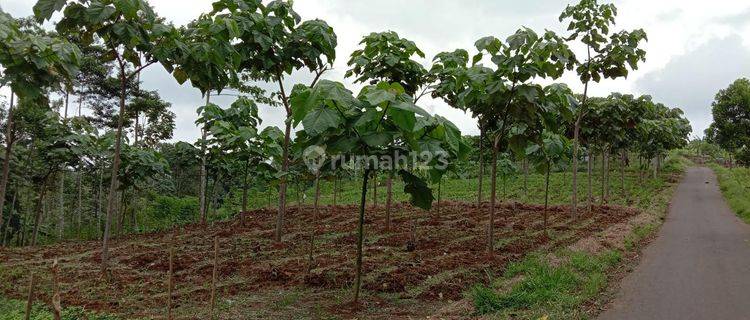 Dijual Tanah Majalengka, Jawa Barat 1