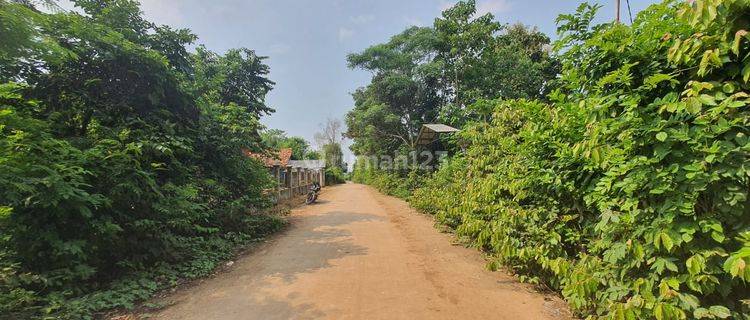 Dijual Cepat Lahan Tanah Daerah Talagasari Karawang Jawa Barat 1