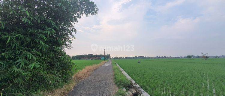 Dijual Cepat Lahan Tanah Siap Pakai Daerah Ciampel Karawang Jawa Barat 1