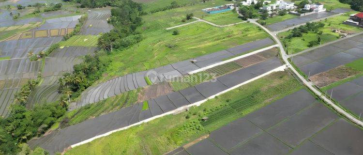 For Leasehold land  in kedungu  1