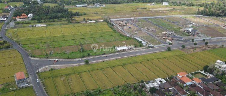 For Leasehold land  in kedungu  1