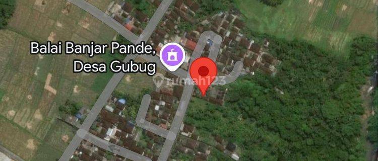 Land For Leasehold In Kedungu Ddeveloping Area In Bali  1