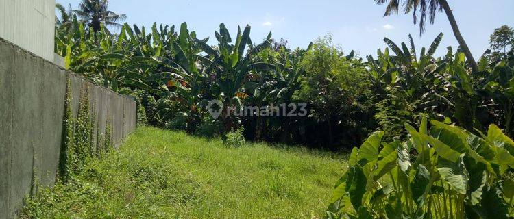 Dijual tanah di kedungu view sawah suitable for villa 1