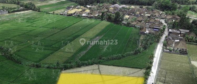 Land for leasehold in tabanan yeh gangga beach  1