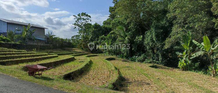 DIJUAL TANAH BERABAN TABANAN COCOK UNTUK VILLAS 1