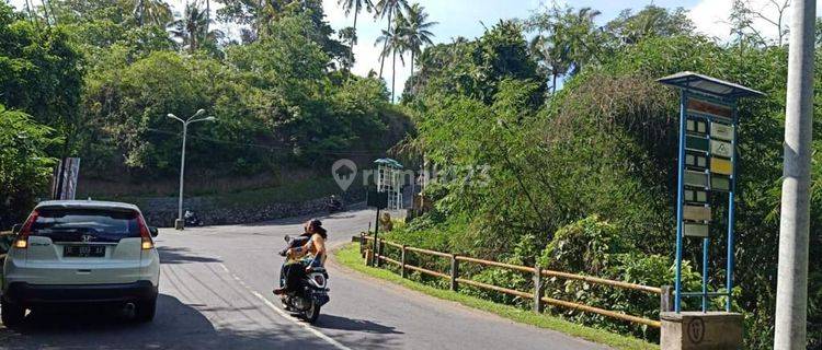 Tanah Di Jalan Utama Ubud, View Sungai 1