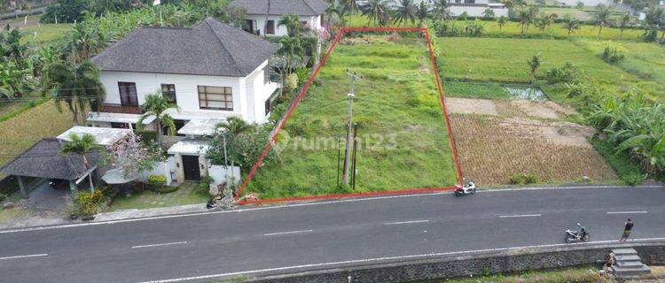 Lahan/tanah Dijual Di Lokasi Sedang Berkembang Di Area Tabanan 1