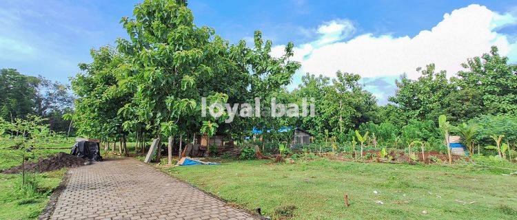 Tanah, Plot Land Ready To Build In Beautiful Environment In Kutuh, Bali 1